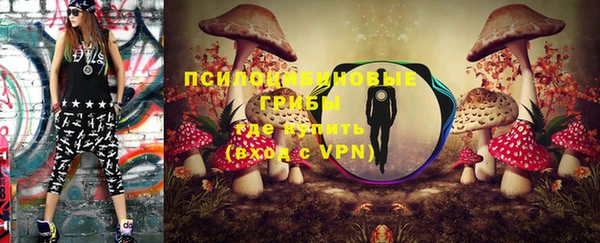 индика Белоозёрский