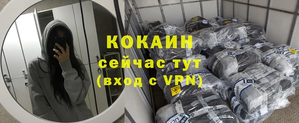 индика Белоозёрский