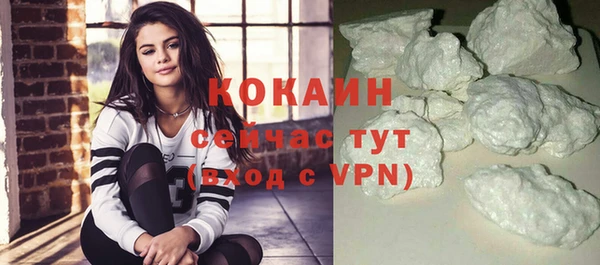 индика Белоозёрский