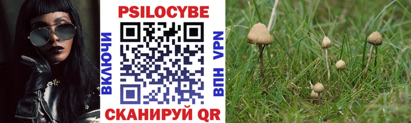 купить   Ясный  Галлюциногенные грибы MAGIC MUSHROOMS 